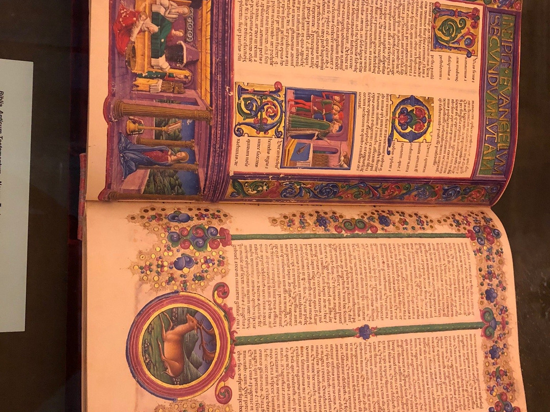 Biblioteca Ariostea景点图片