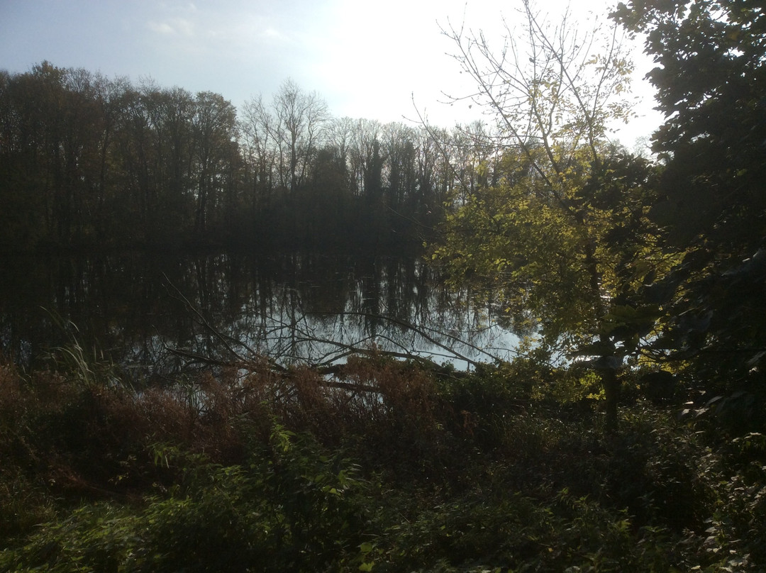 Colwick Hall Hotel主图