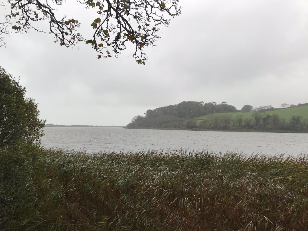 Slapton Ley Nature Reserve-Slapton必去景点
