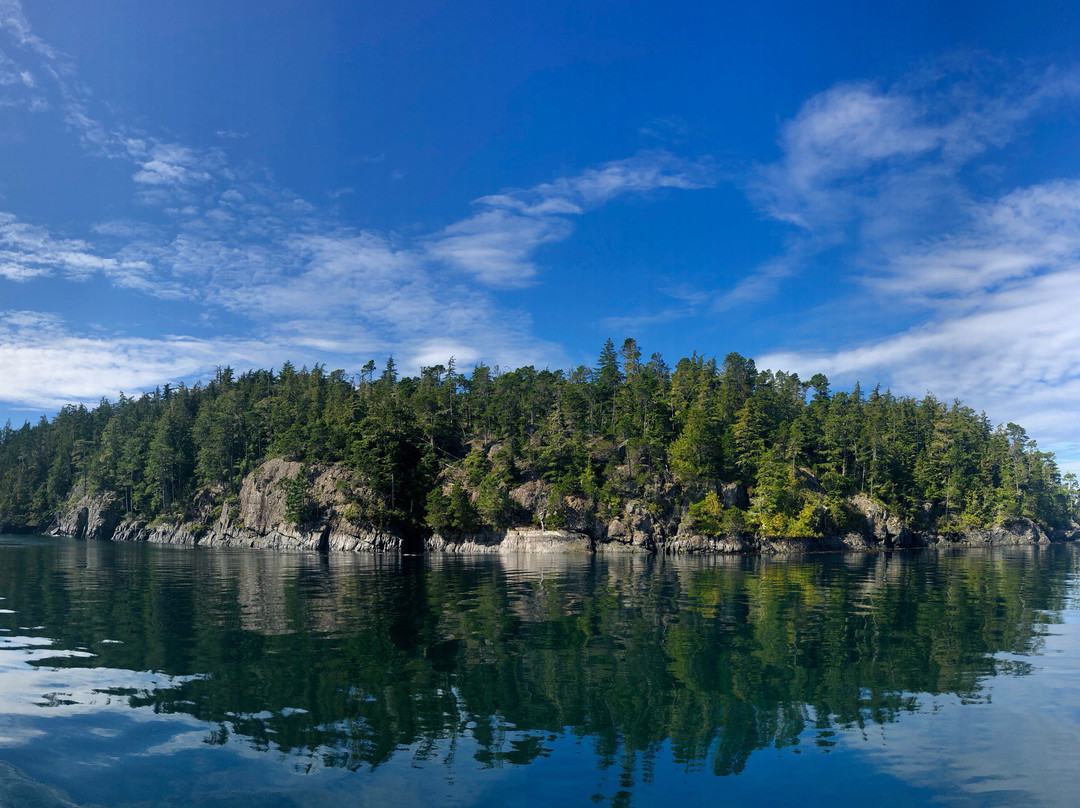 Mackay Whale Watching-Port McNeill必去景点
