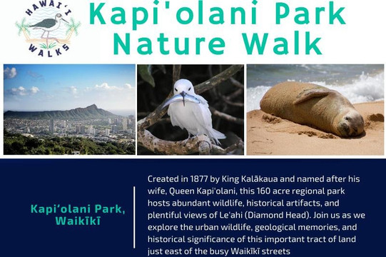 Hawai'i Walks-火奴鲁鲁必去景点