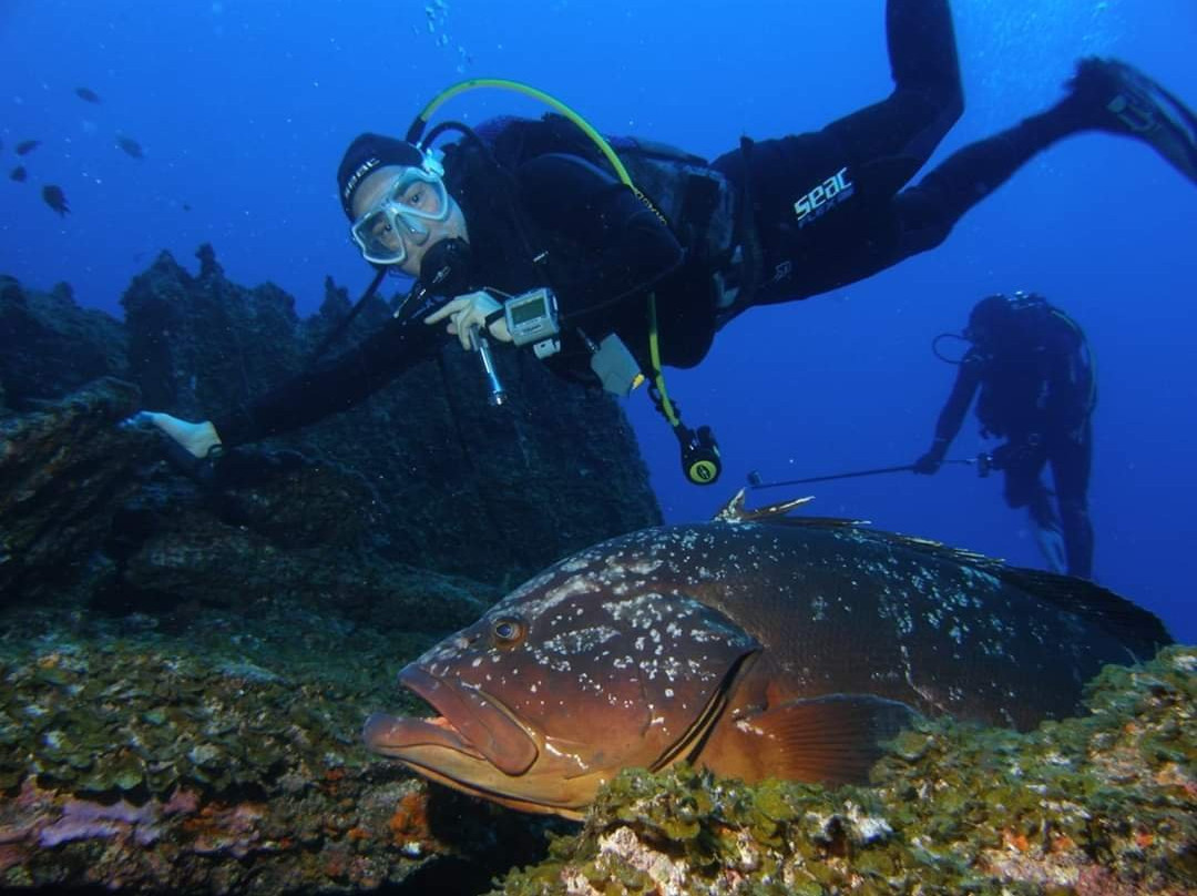 Buceo El Tamboril景点图片