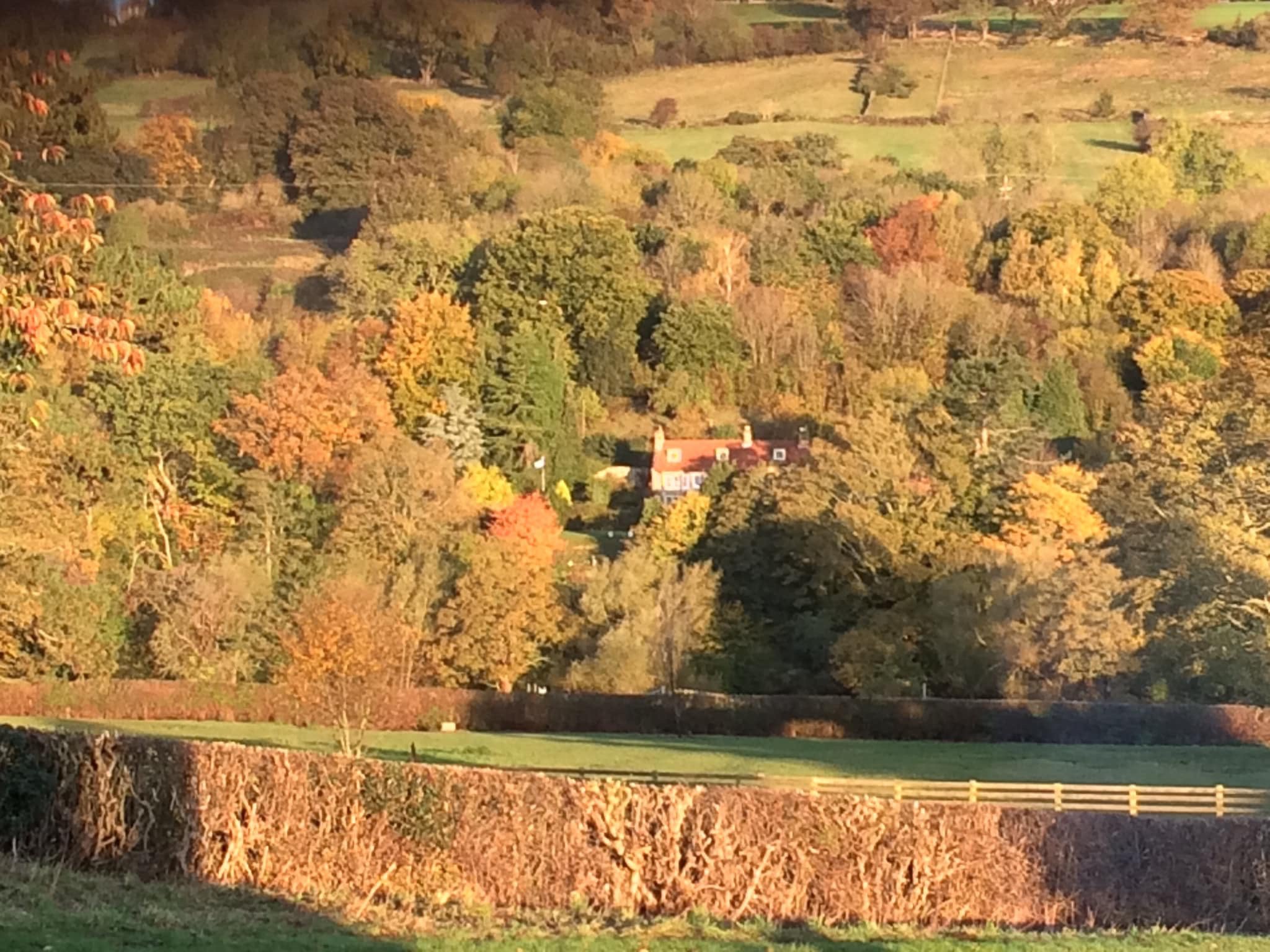 Beechlands B&B-酒店景观