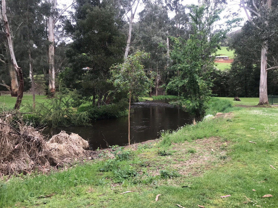 Noojee Picnic Grounds-Noojee必去景点