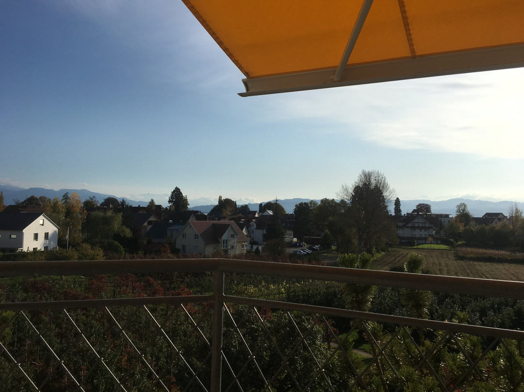 Hotel-Restaurant-Cafe Walserhof主图