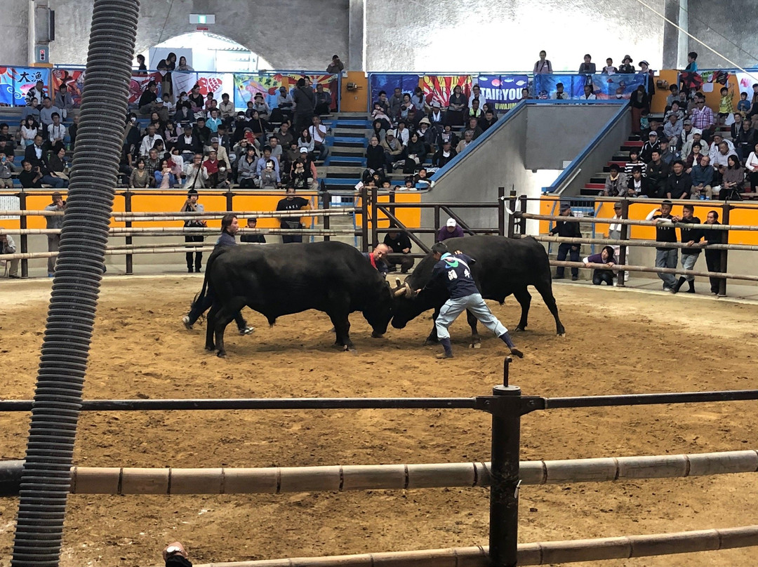Uwajima City Bullfighting Arena景点图片