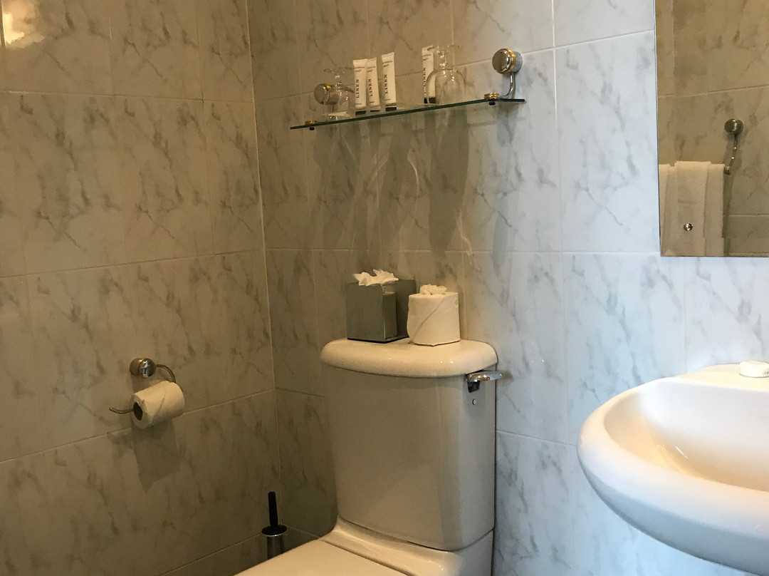 Kilkenny Hibernian Hotel主图