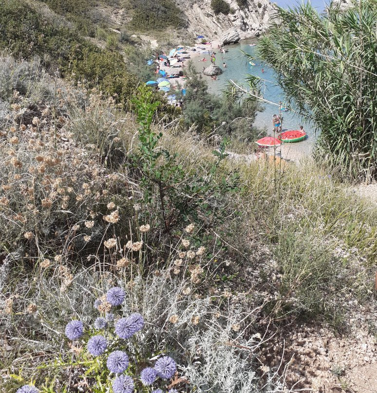Bosana Beach Pag景点图片