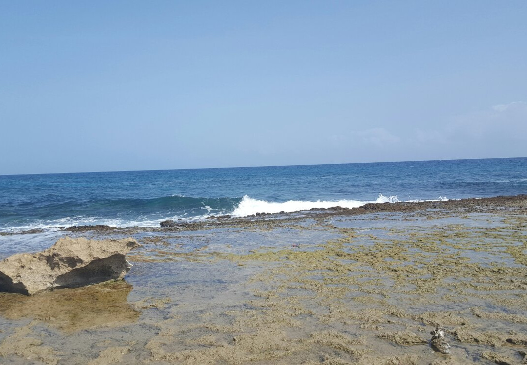 La Poza De Las Golondrinas-Isabela必去景点