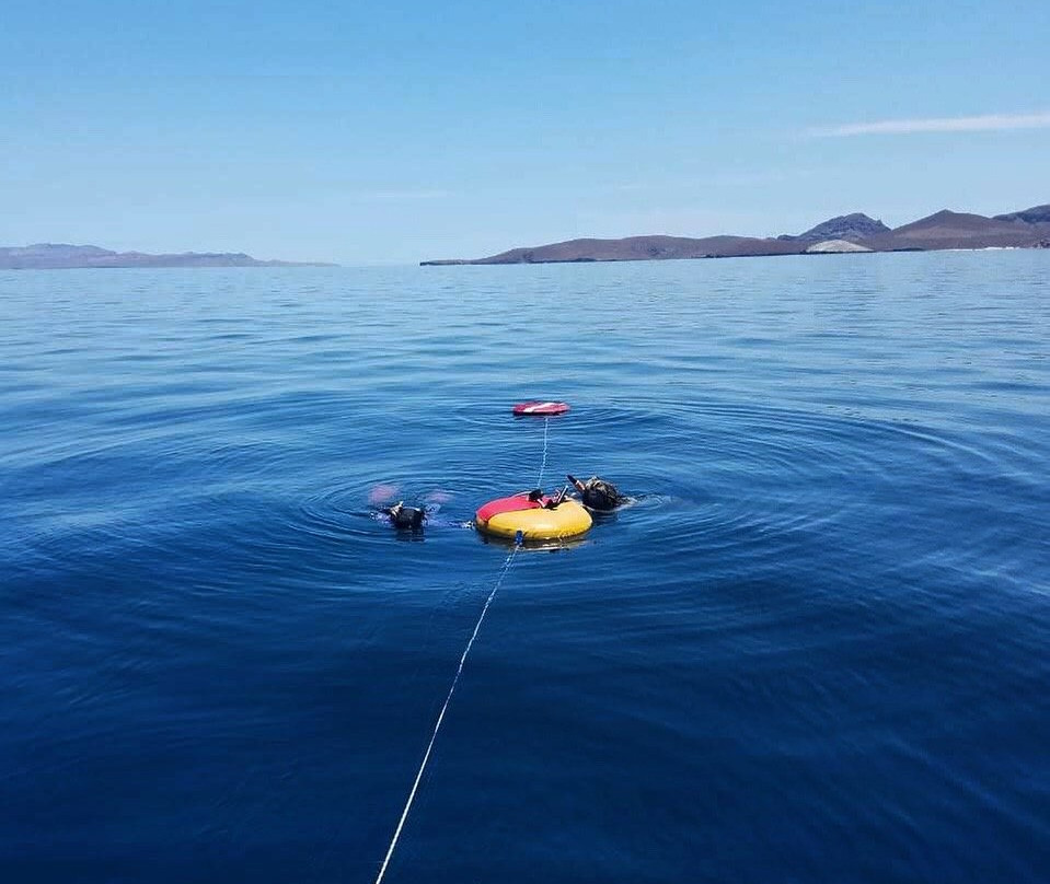 MT Solomons Freediving-拉巴斯必去景点