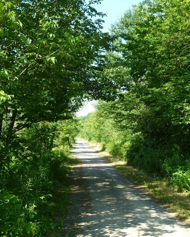 Tomifobia Nature Trail景点图片