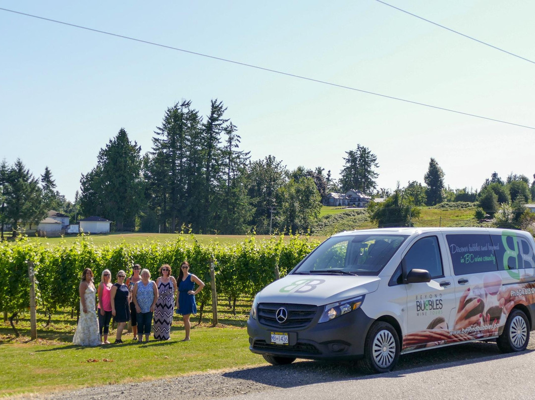 Beyond Bubbles Tours