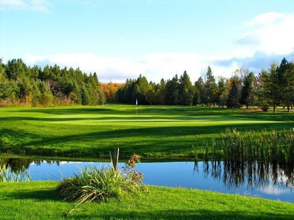 Clear Springs Golf Course景点图片