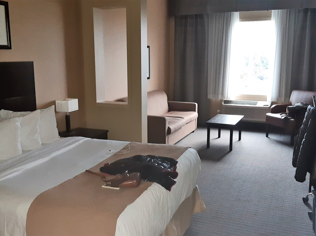 Quality Inn & Suites主图