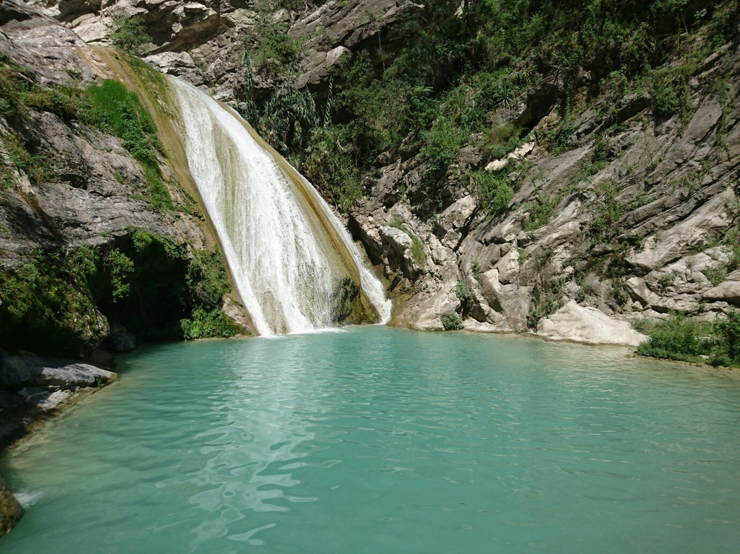 Cascadas de Ahuehuetla景点图片