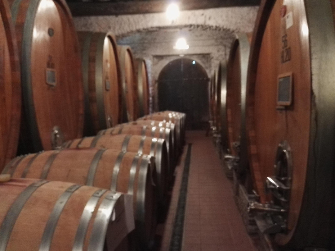 Enotria Wine Experience景点图片