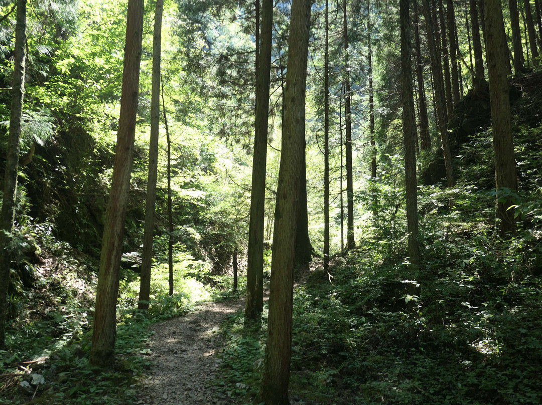 Shiraiwa Falls-日之出町必去景点