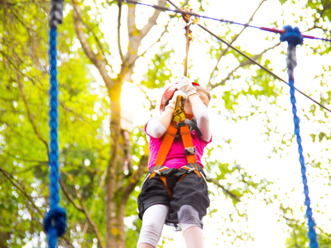 Adventure Park景点图片