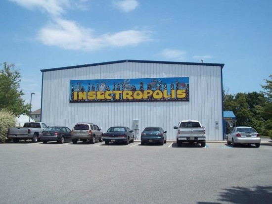Insectropolis, the Bugseum of New Jersey景点图片