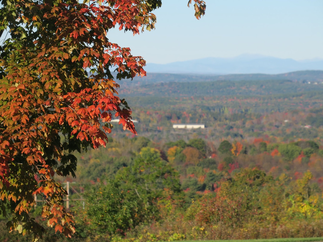 North Monmouth旅游景点-Vista of Maine Vineyard & Cidery Tasting Room