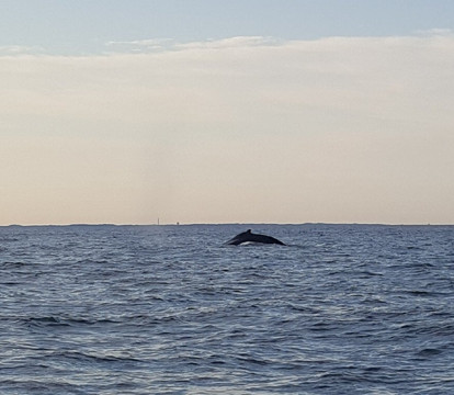 Labrador Fishing Charters-Scituate必去景点