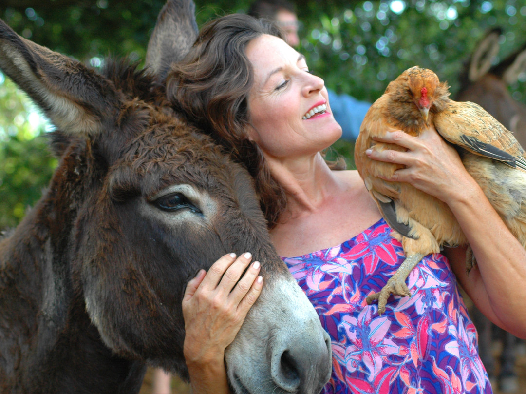 Leilani Farm Sanctuary景点图片