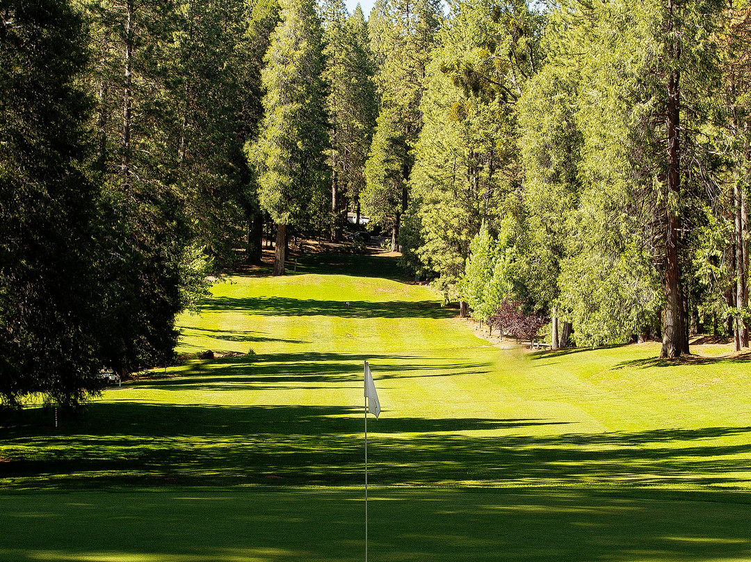 Forest Meadows Golf Course景点图片