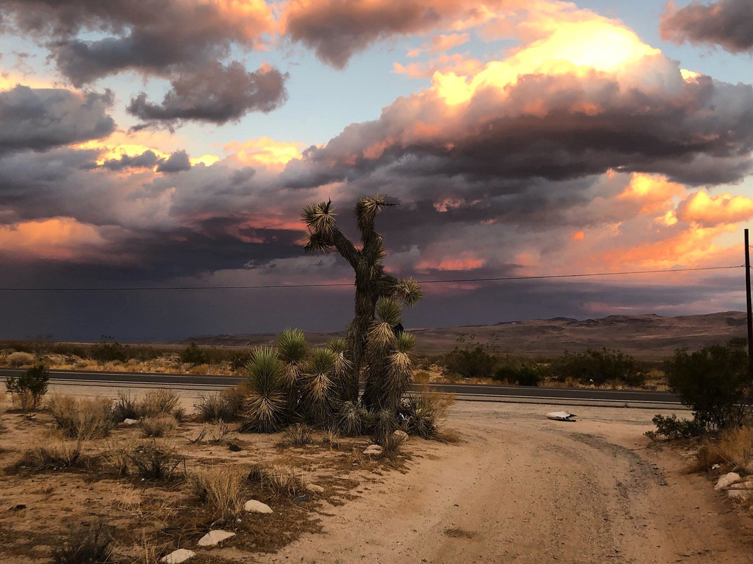 Inyokern旅游景点-Robber’s Roost Ranch