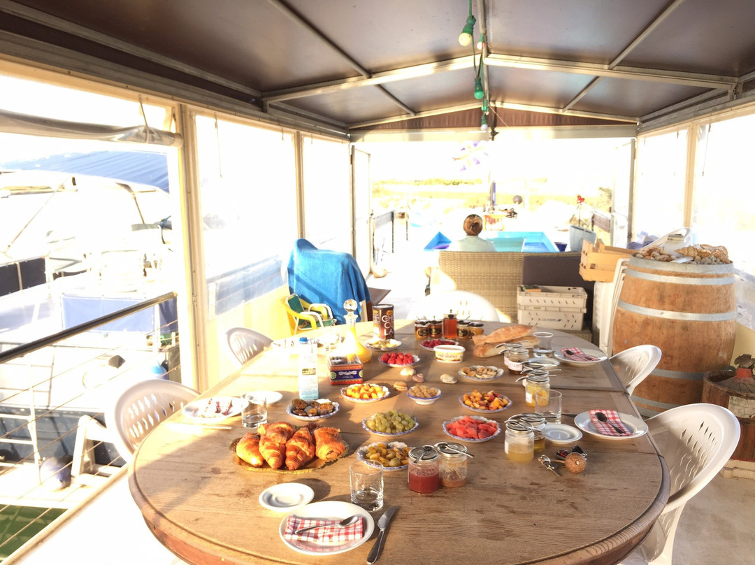 Alphonsia Maria主图