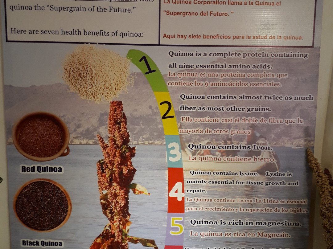 Quinua Tampu-Juli必去景点