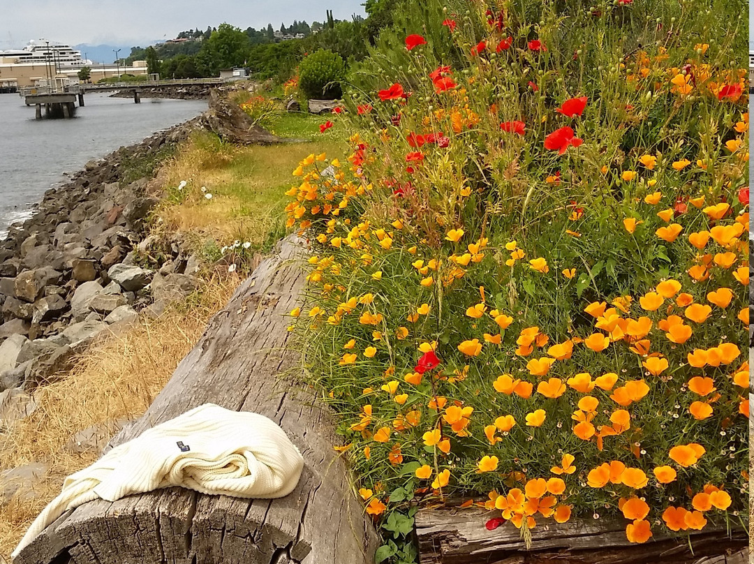 Centennial Park-西雅图必去景点