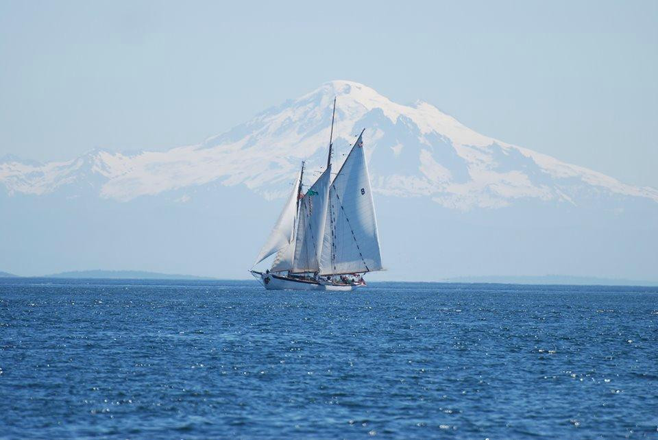 Schooner Zodiac - Day Cruise景点图片