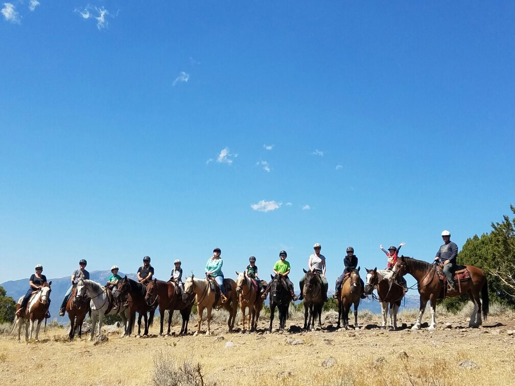 KB Horses-希伯城必去景点