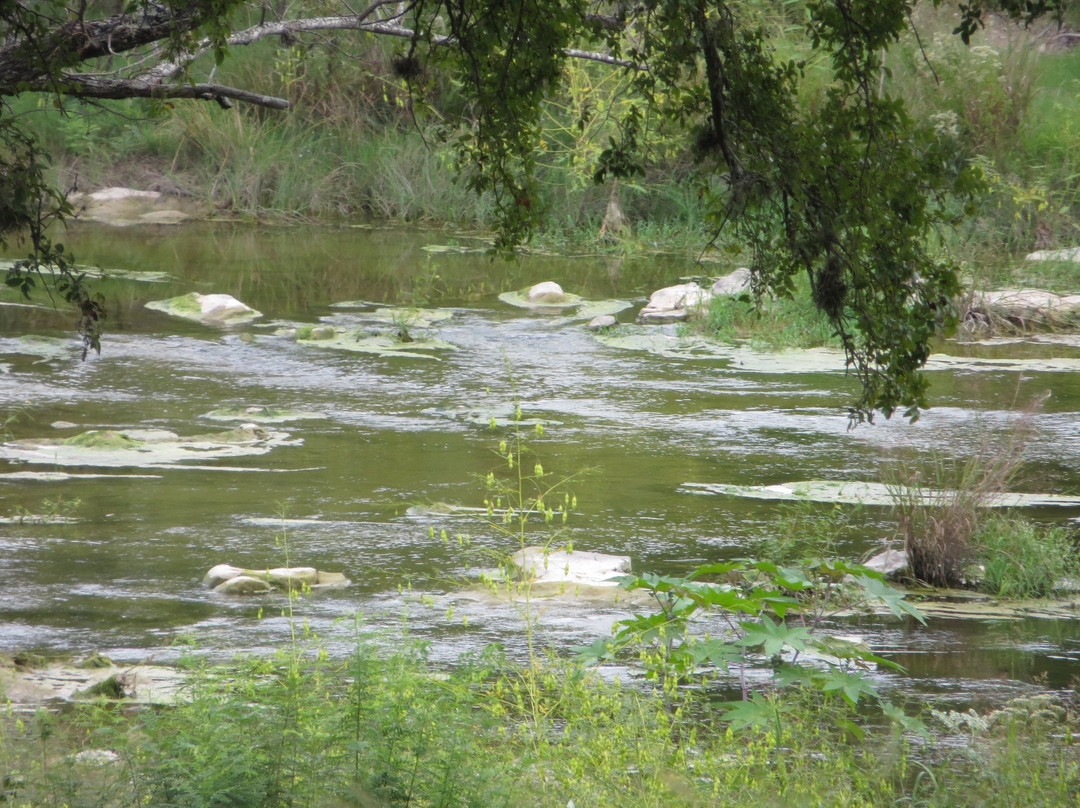 Pedernales River Nature Park景点图片
