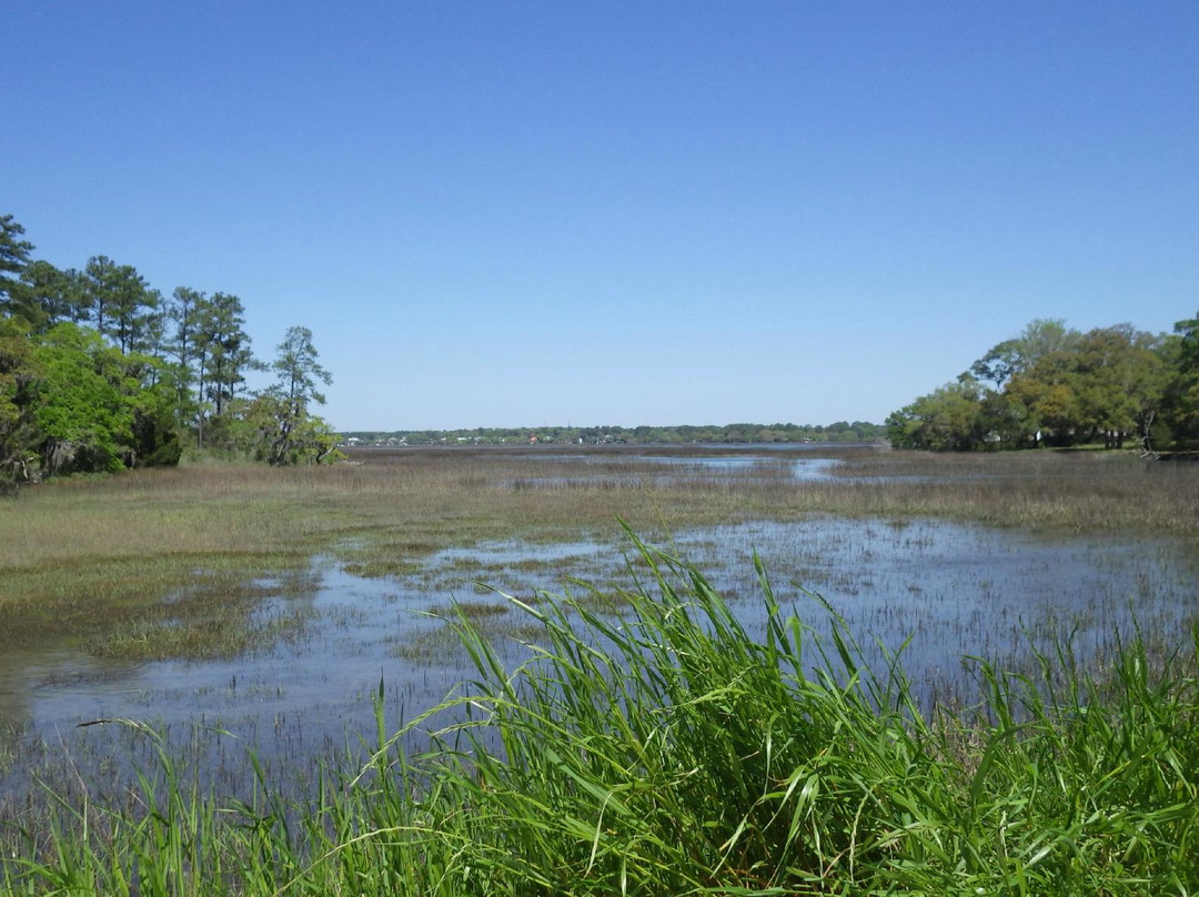 Spanish Moss Trail-博福特必去景点