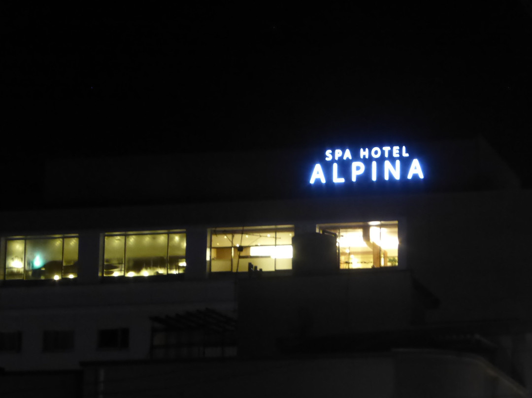奥尔皮娜海达高山市Spa酒店主图