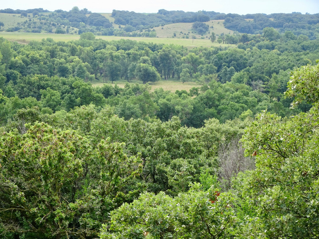 The Blood Run Nature Area