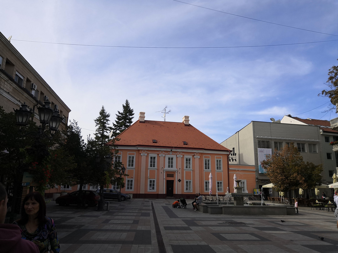 Vladicanski Dvor - Bishops Palace-诺维萨德必去景点
