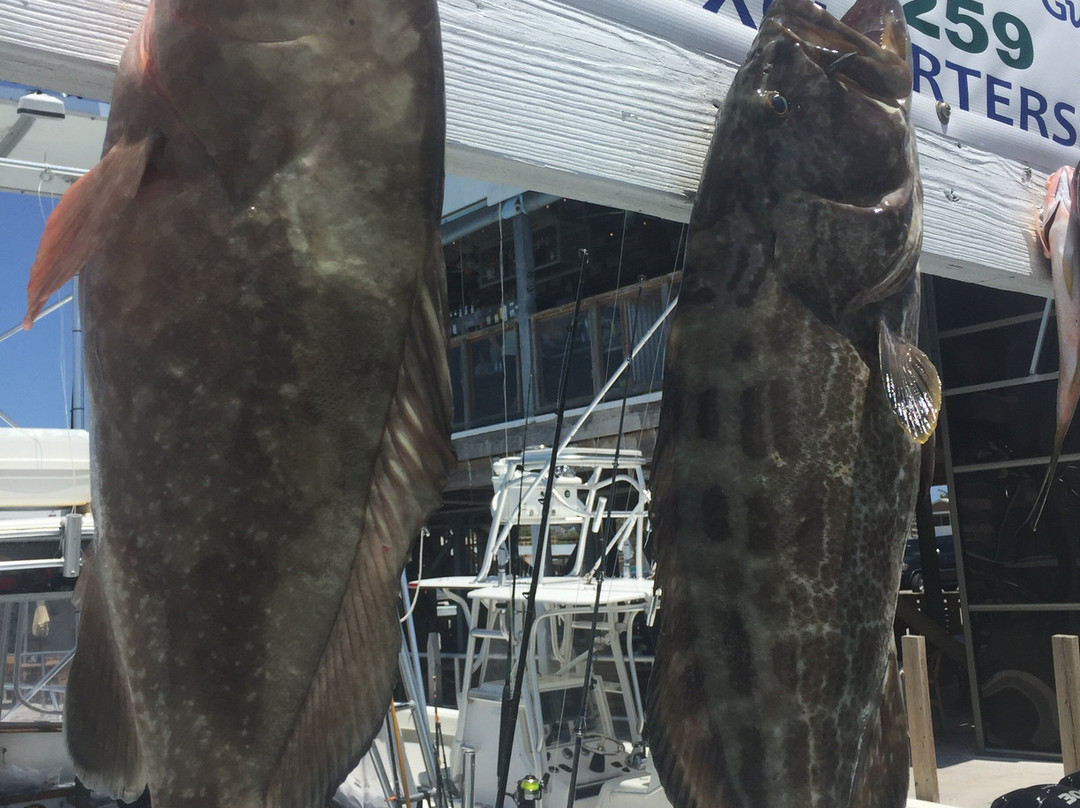 Sombrero Reef-马拉松必去景点