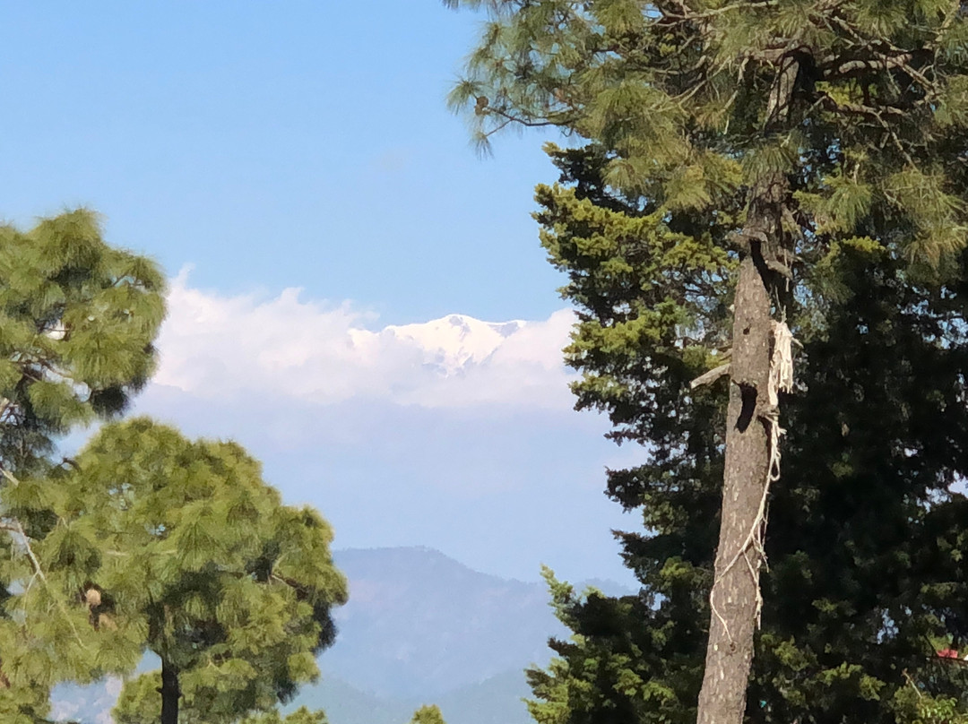 Kasaar Jungle Resort主图