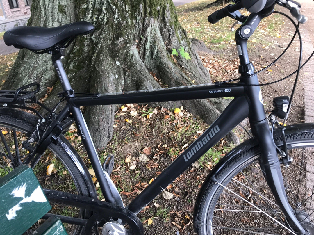 Ben's Bike景点图片