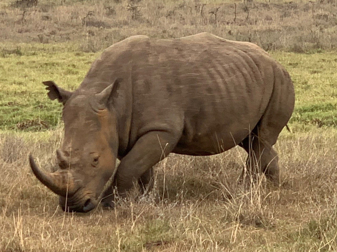 Safarilinks Africa-内罗毕必去景点