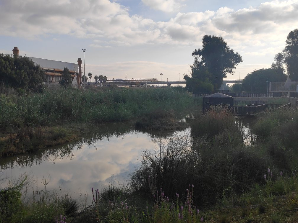 Etgarim Lakhish Park-阿什杜德必去景点