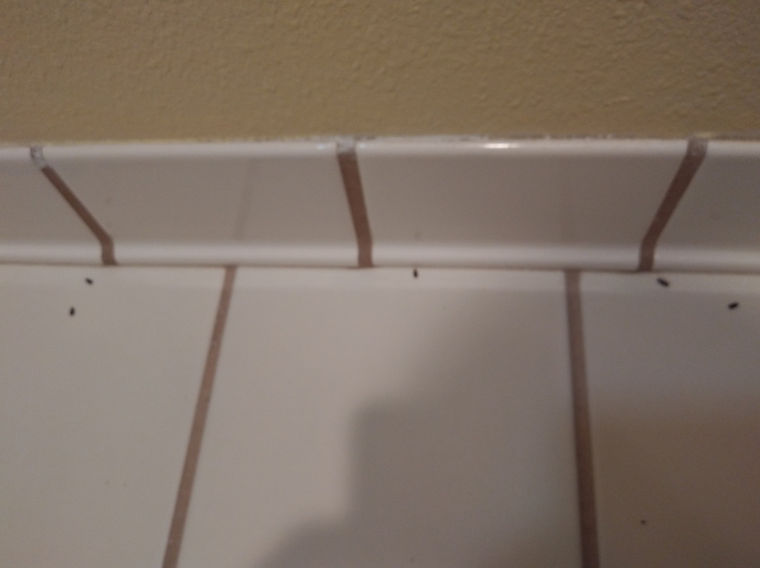 Days Inn by Wyndham North Platte主图