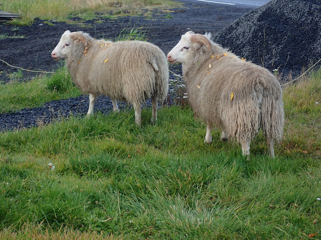 Fossholl Guesthouse主图