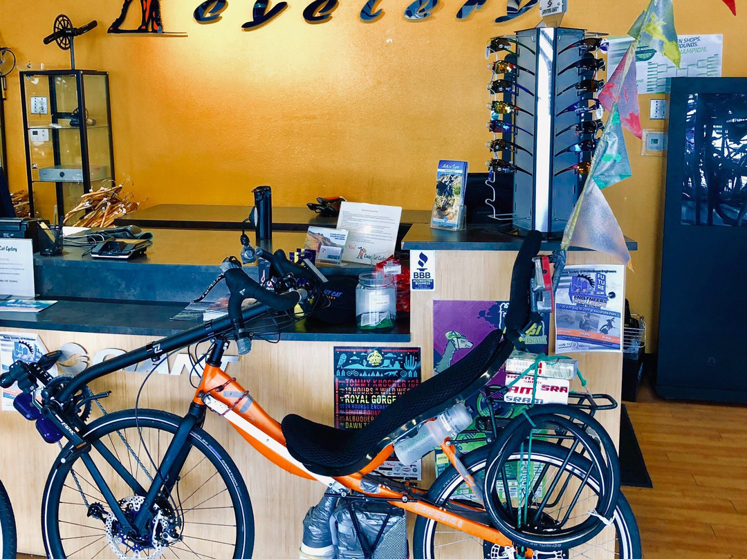 Crazy Cat Cyclery Rentals-埃尔帕索必去景点