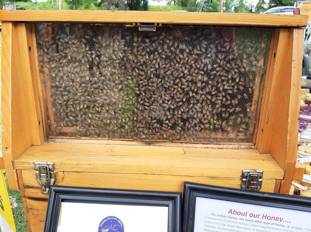 West River Farmers Market-Londonderry必去景点