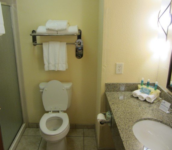 Holiday Inn Express & Suites Mount Airy, an IHG hotel-浴室