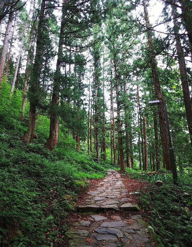 Amidaga Falls-郡上市必去景点