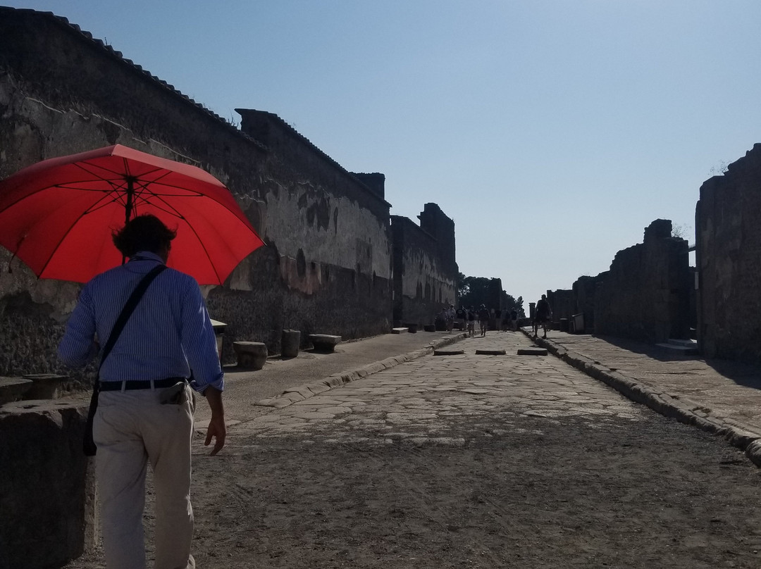 Pleasant Travel - Day Tours-索伦托必去景点